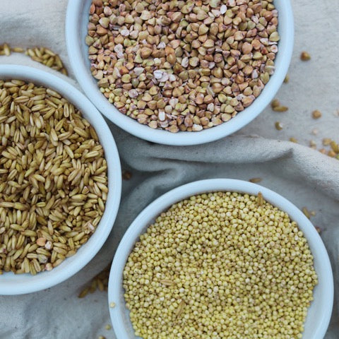 Three bowls of sprouted grains